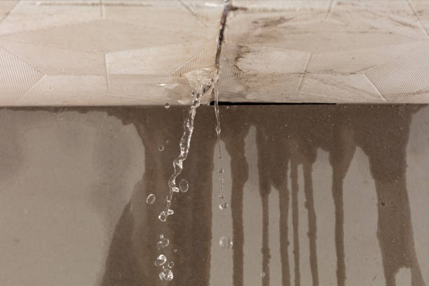 Professional Flood Damage Cleanup technician working in Tokeland, WA